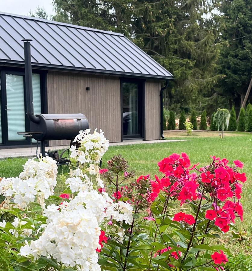 Paerli Puhkemaja / Pearl Riverside House Pudisoo Exterior foto